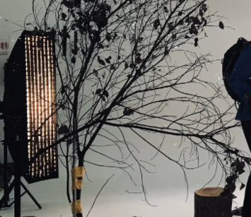 央视广告代理介绍专题广告的类型